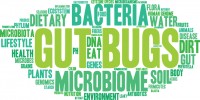 Gut Bugs Word Cloud On a White Background.